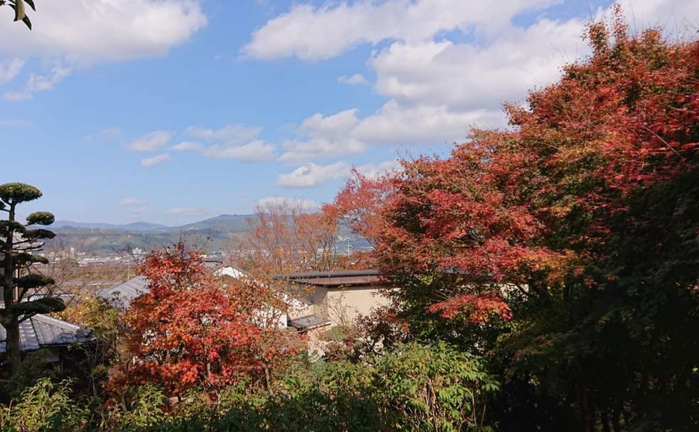 紅葉が真っ盛り 福岡県うきは市 cafeたねの隣