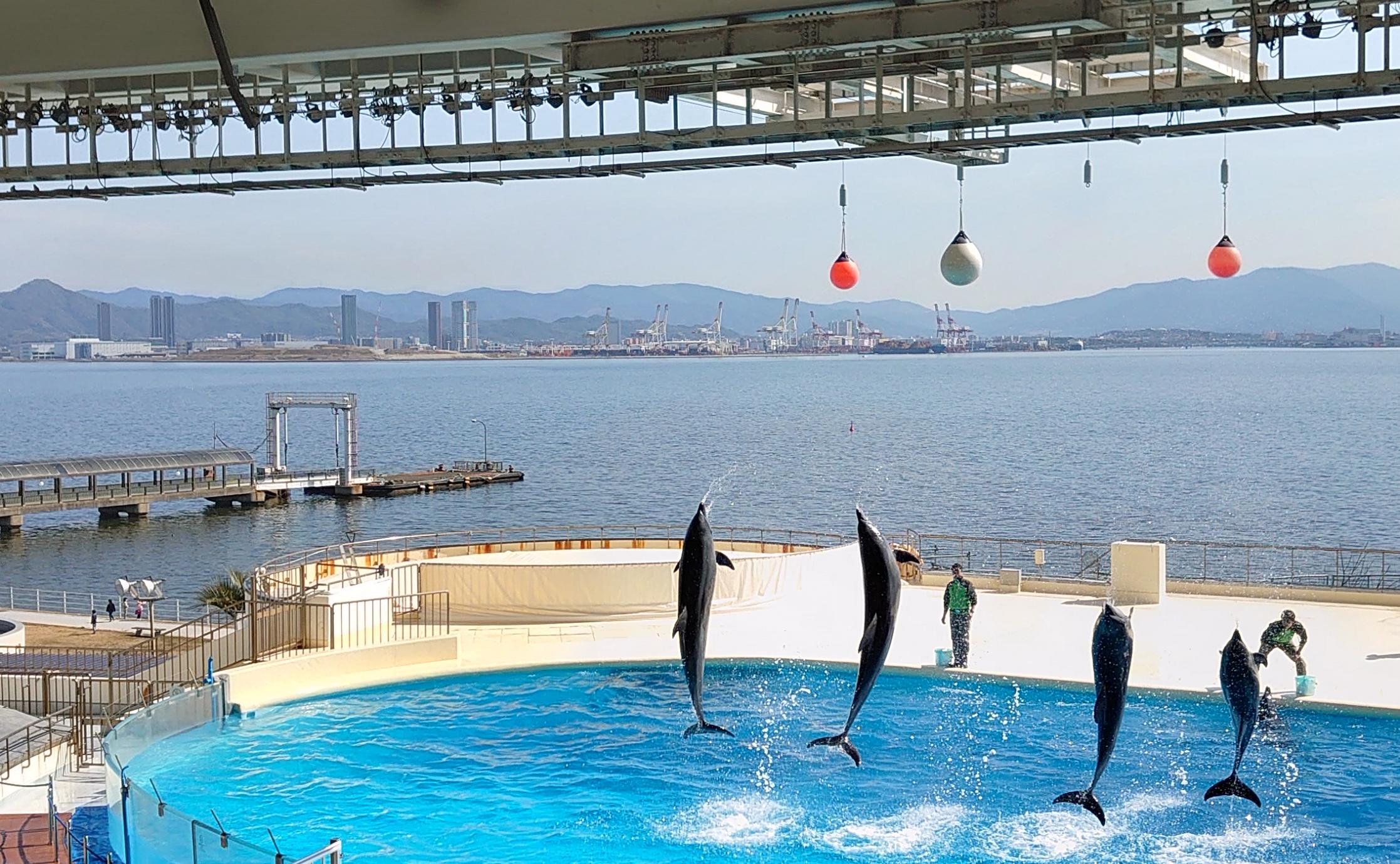 グッズも秀逸！マリンワールド海の中道