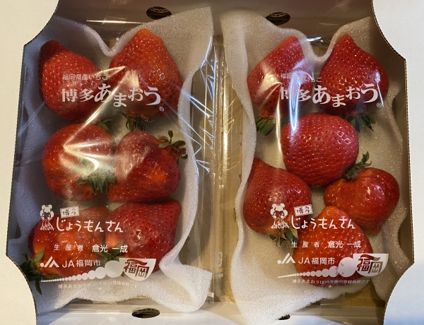 あまおう箱買い！じょうもんさん花畑市場