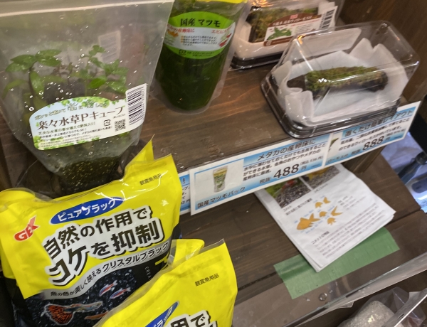 ペット売り場広め！ワクワクするグッデイへ