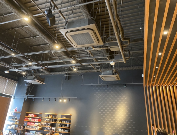 スタバのキッズメニューが高コスパ！