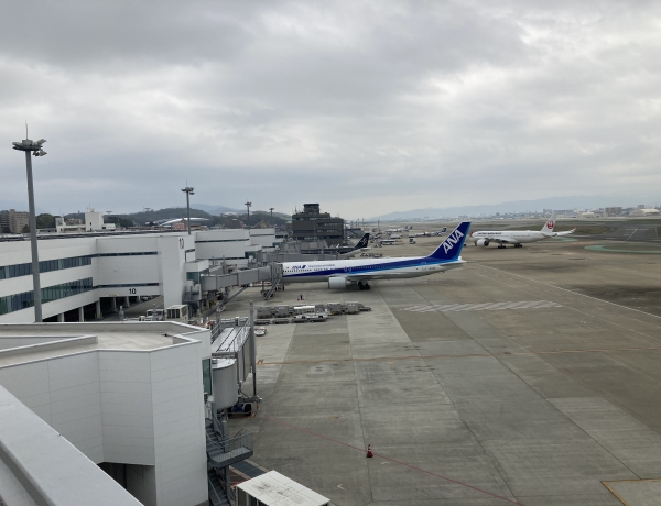 福岡空港で飛行機鑑賞